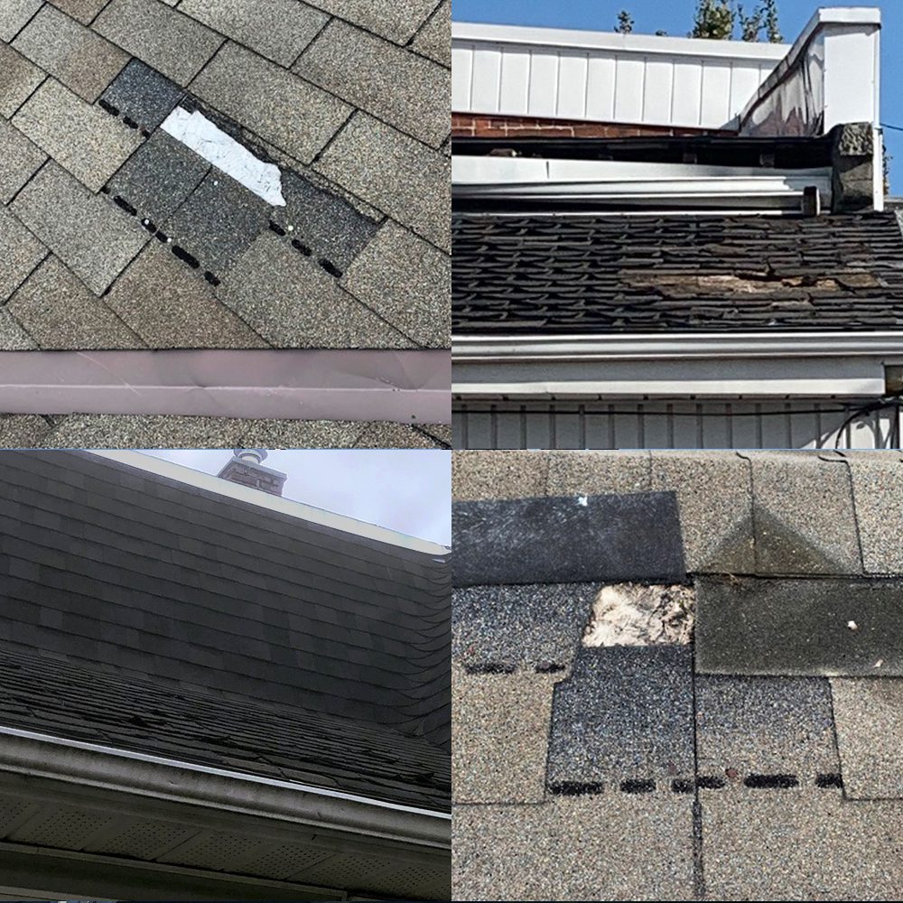 Photos Of Damaged Asphalt Shingles Showing Need For Roof Replacement