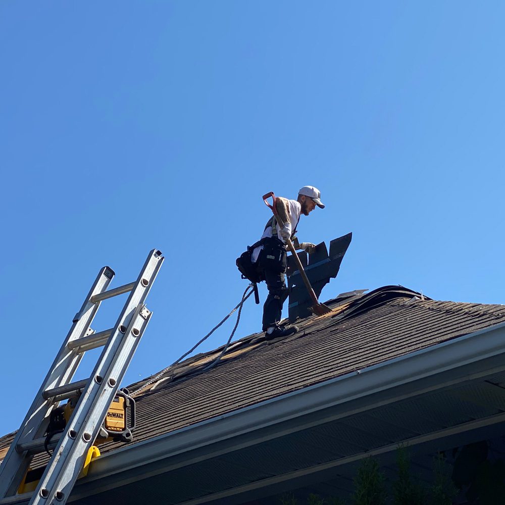 Roofer Tearing Shingles For Roof Replacement